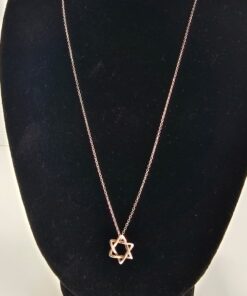 Tiffany & Co. Elsa Peretti® Star of David Pendant on Chain