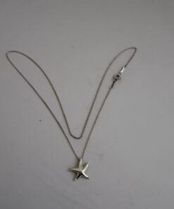 Pre-Owned Authentic Tiffany & Co. Elsa Peretti Sterling Silver Starfish Pendant Necklace