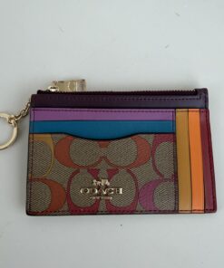 Coach XL Mini Skinny ID Case in Rainbow Signature Canvas