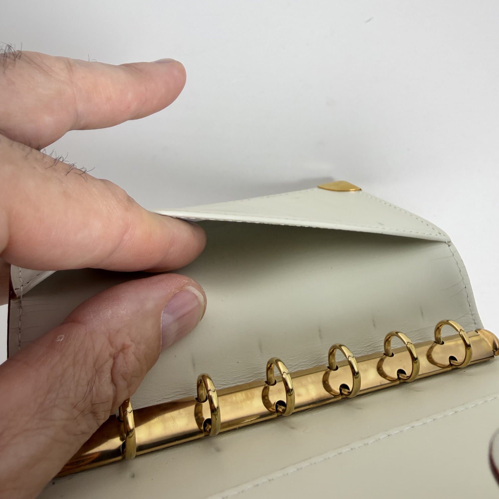 Louis Vuitton Suhali Leather Agenda PM Ring Planner - Image 10