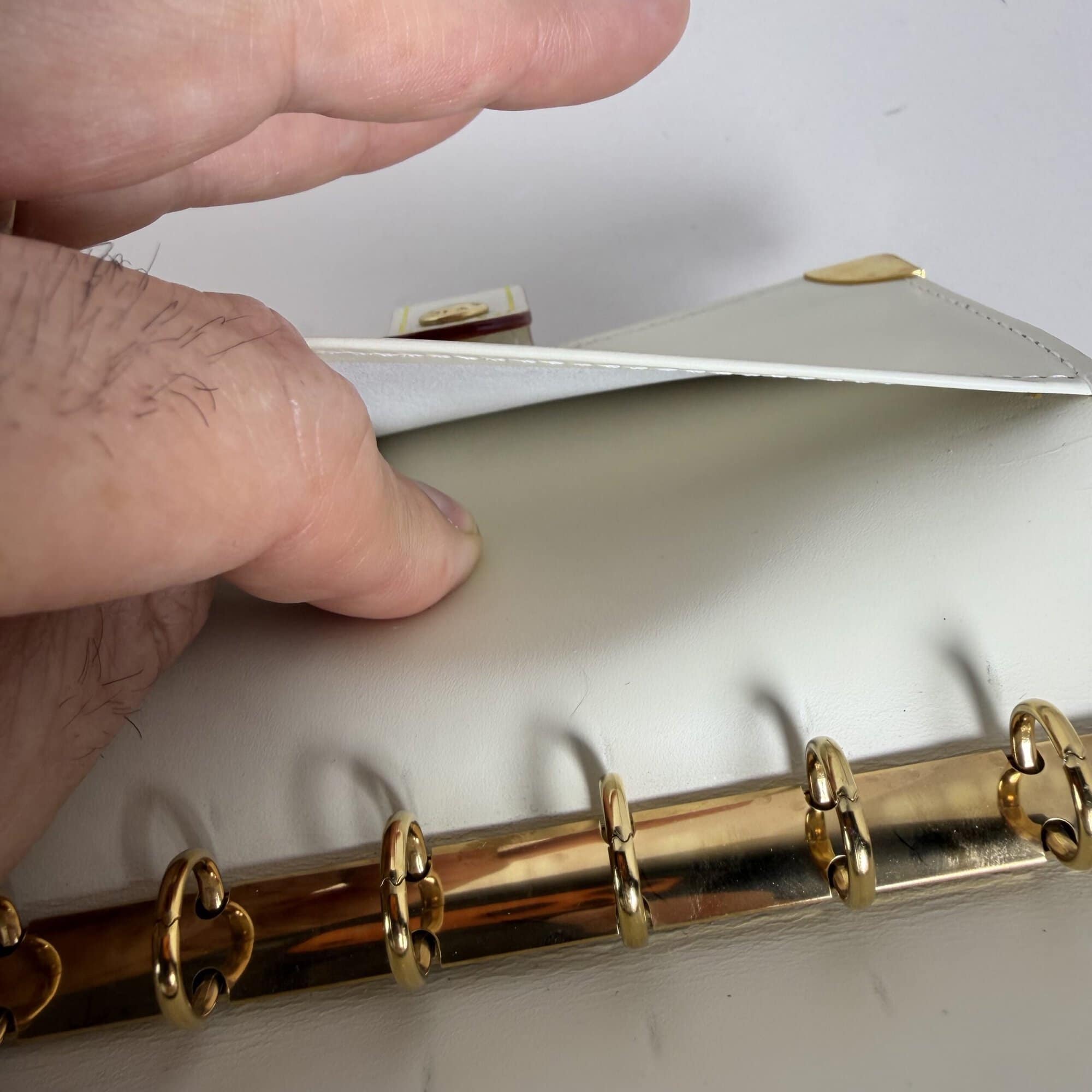 Louis Vuitton Suhali Leather Agenda PM Ring Planner - Image 11